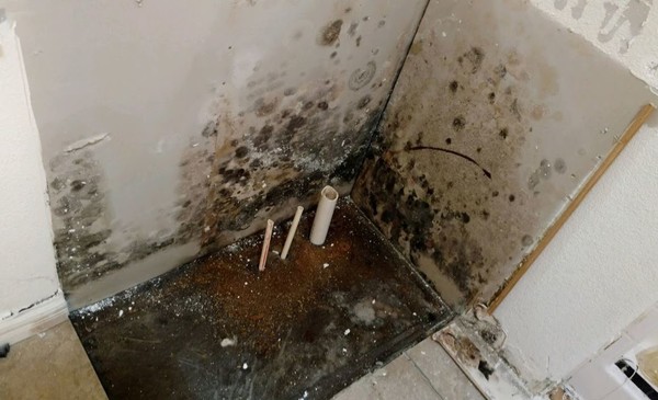 Mold Remediation by Yuma Water and Mold Restoration